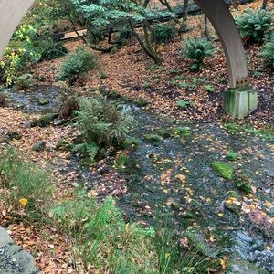 Meet your Posher, Ariel